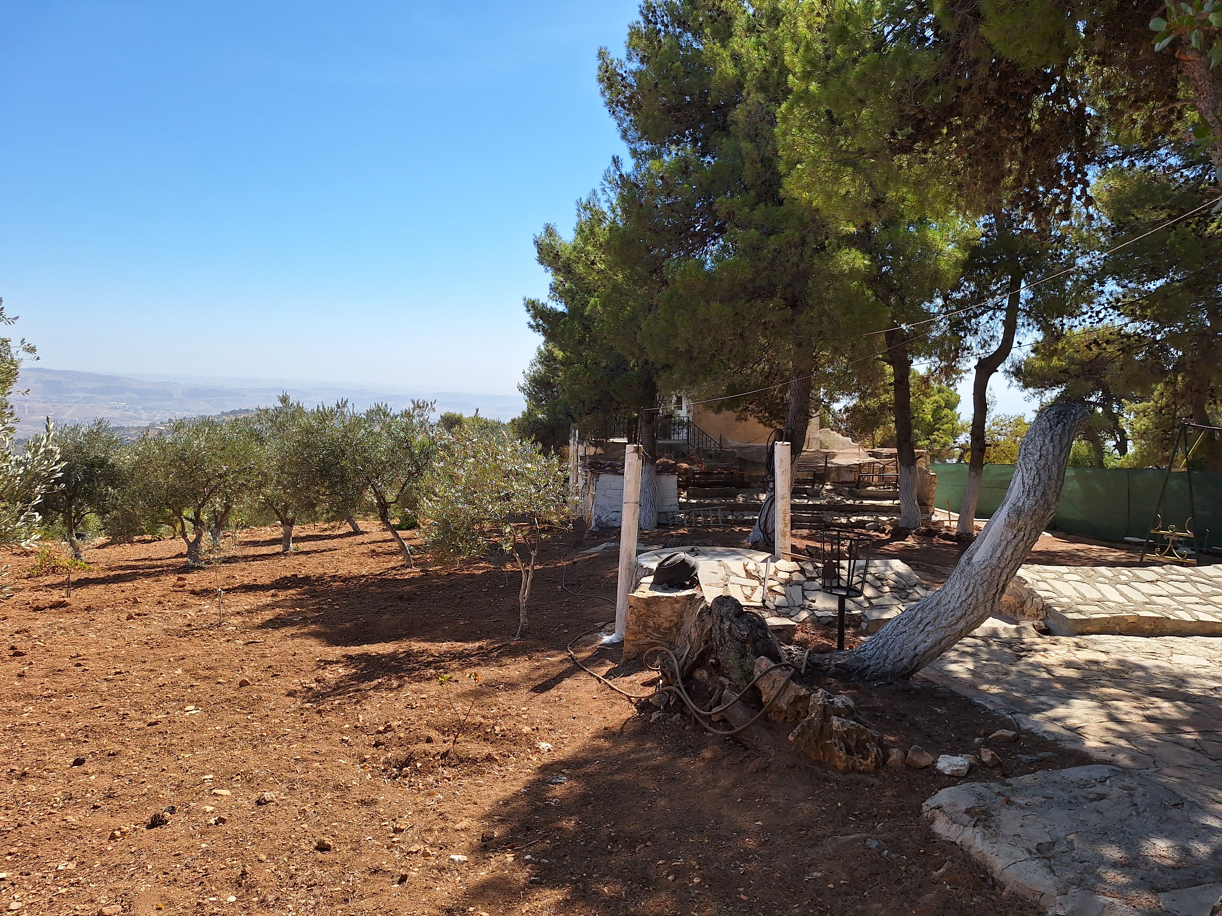 Farm For Sale In the most beautiful areas of Jarash - Property Image 3