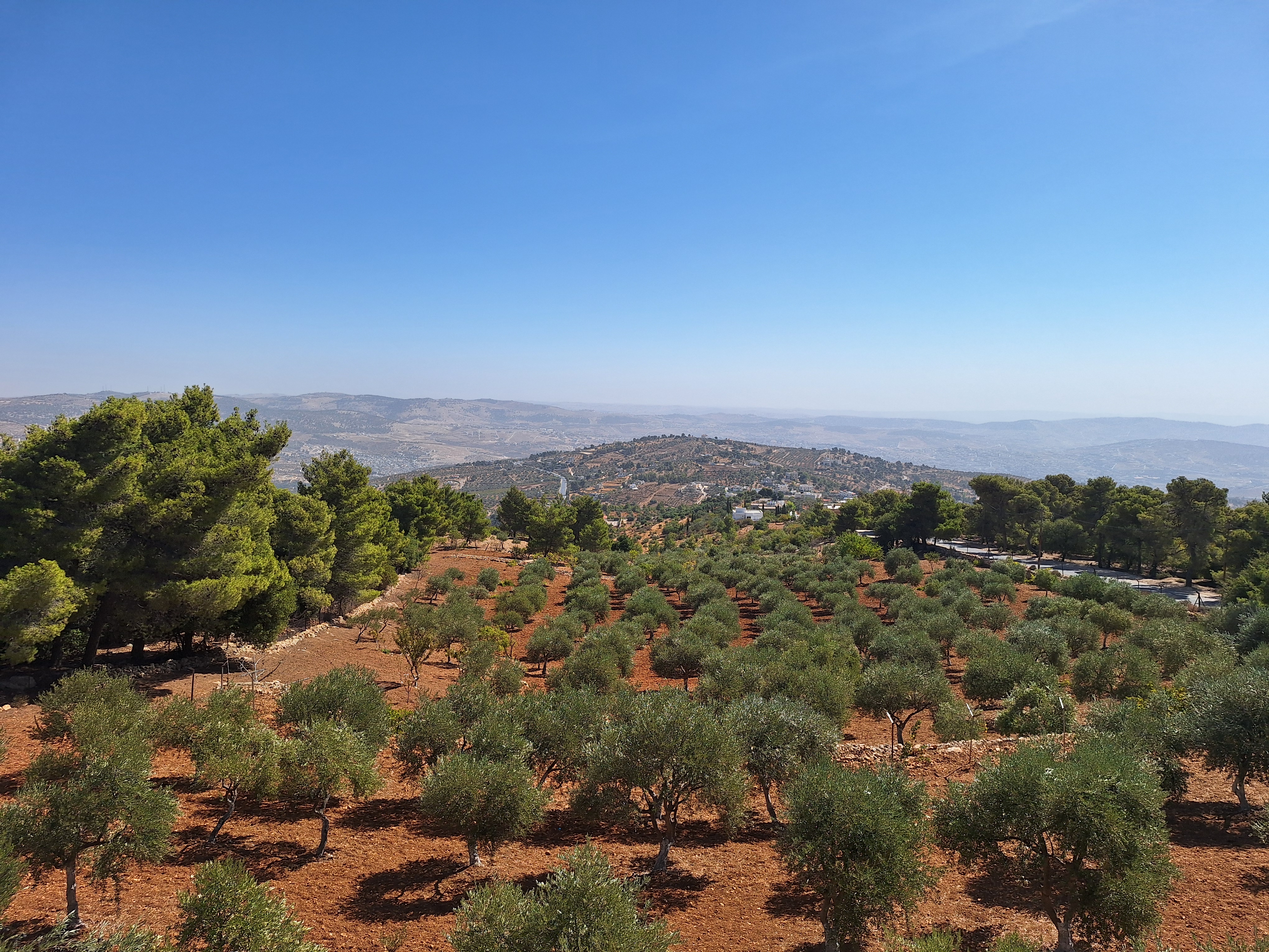 Furnished Apartment for Rent in Abdoun