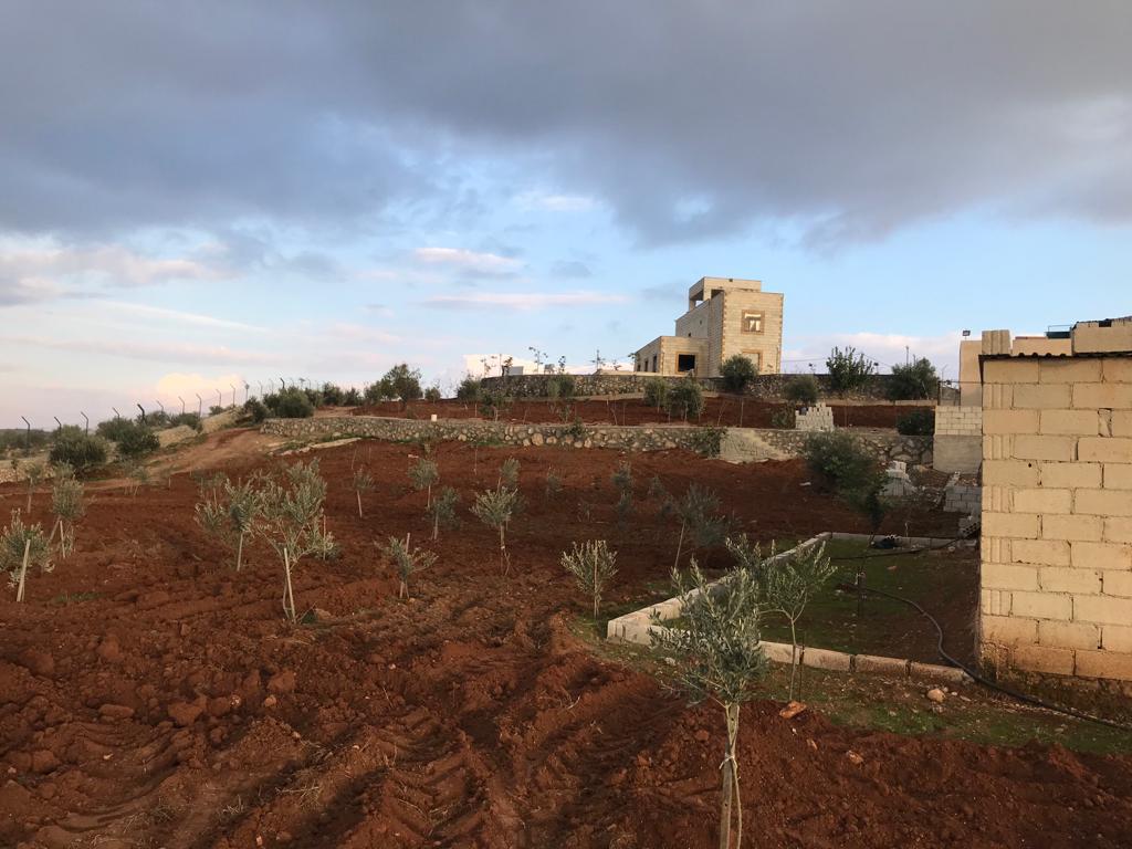 Unique Farm for Sale in Jarash - Property Image 2