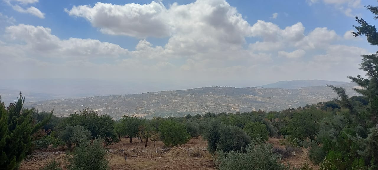 Investment Farm with Scenic Views in Jarash
