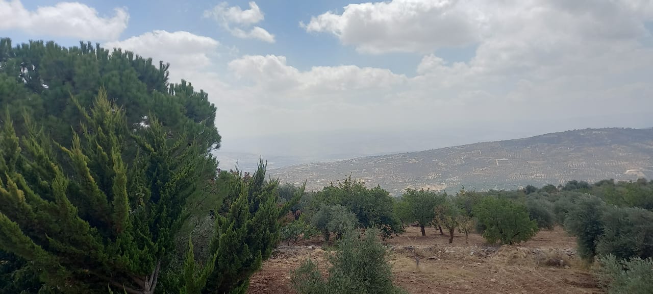 Farm With Scenic Views In Jarash For Sale
