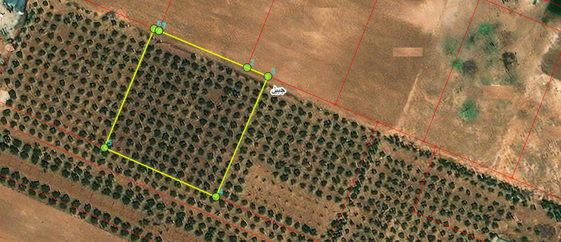 Land for Sale  In Madaba