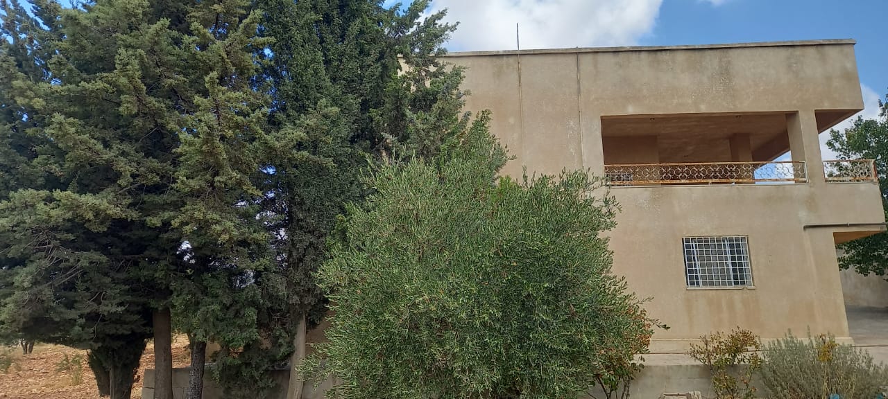 Investment Farm with Scenic Views in Jarash - Property Image 4