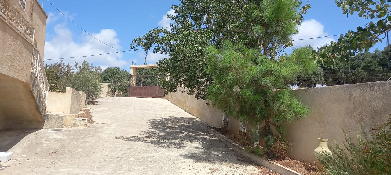 Investment Farm with Scenic Views in Jarash - Property Image 6