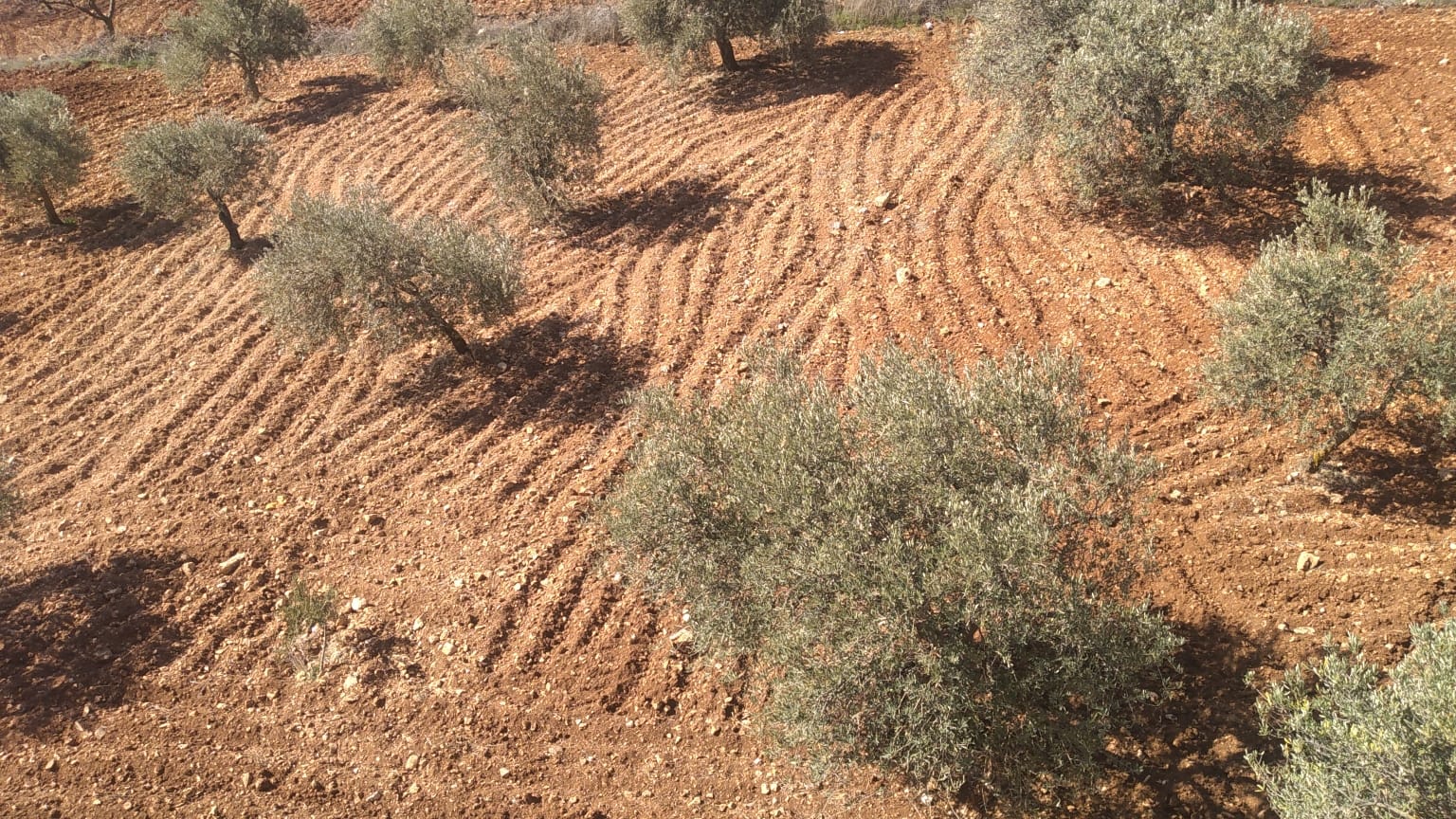 Investment Farm with Scenic Views in Jarash - Property Image 7