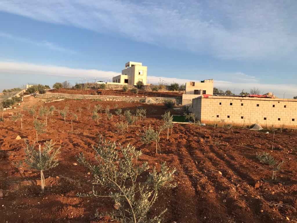 Unique Farm for Sale in Jarash - Property Image 9